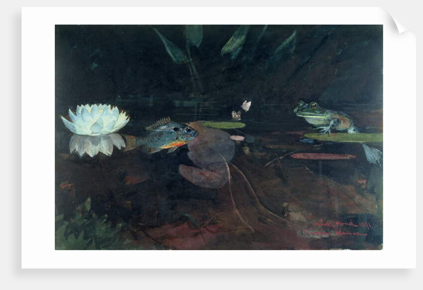 Mink Pond, 1891 by Winslow Homer