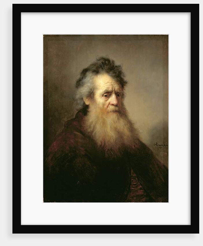 Portrait of a Old Man, 1632 by Rembrandt Harmensz. van Rijn