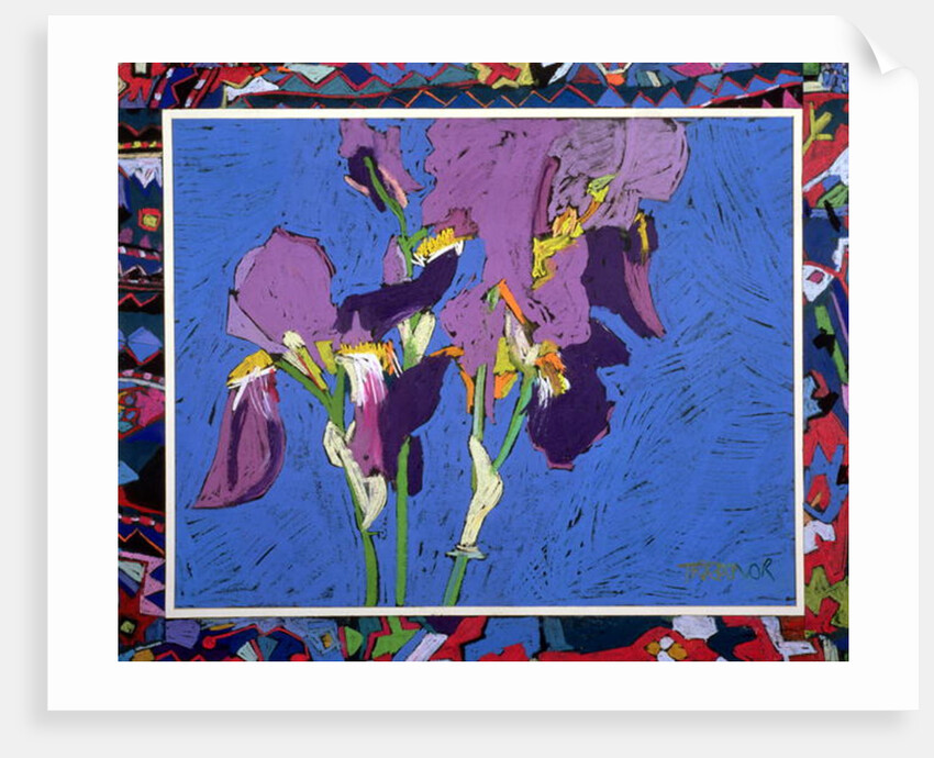 Flag Irises by Frances Treanor
