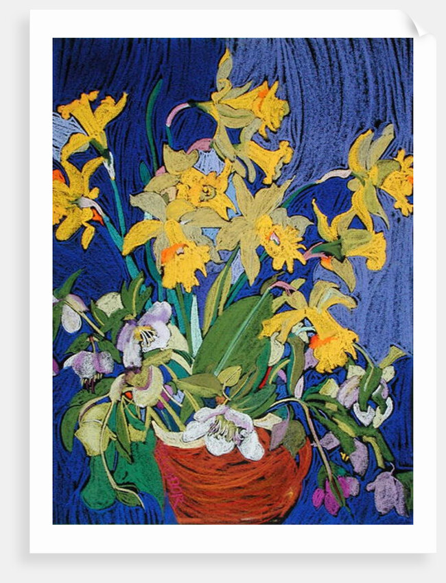 Daffodils with Jug by Frances Treanor