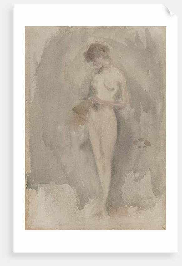 Study for 'The Tall Flower', c.1886 by James Abbott McNeill Whistler