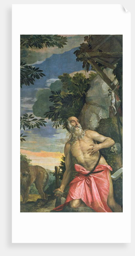 St. Jerome in Penitence by Veronese