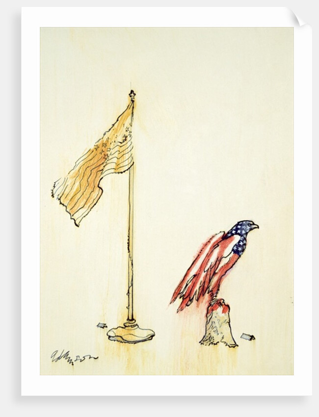 American Eagle acquires US flag colouration, 1985 by George Adamson
