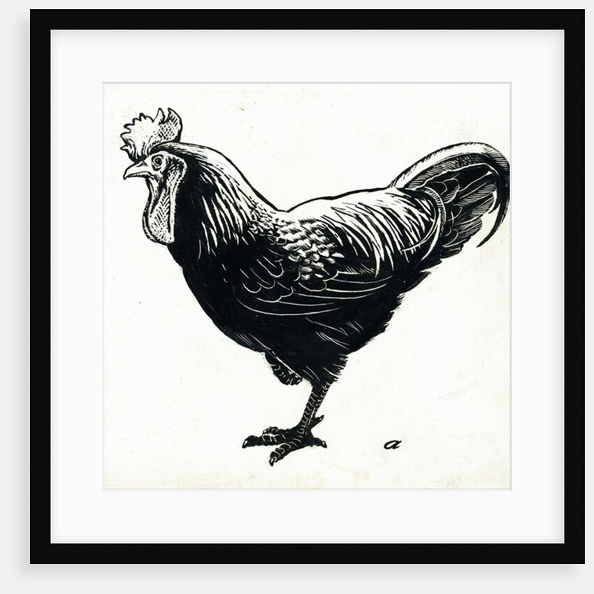 The Hen, 1950s by George Adamson