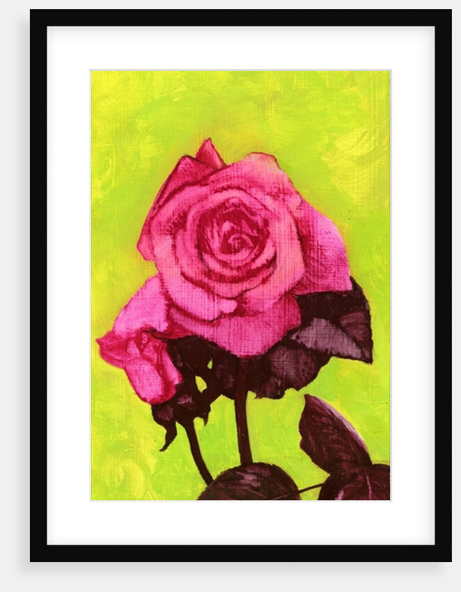 Bright Rose, 1980s by George Adamson