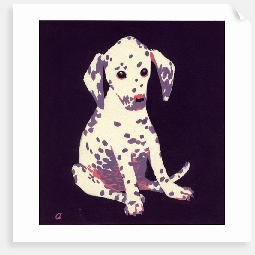 Dalmation Puppy, 1950s by George Adamson