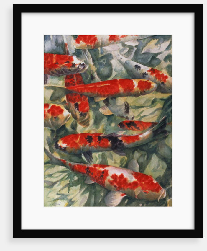 Koi Carp by Gareth Lloyd Ball