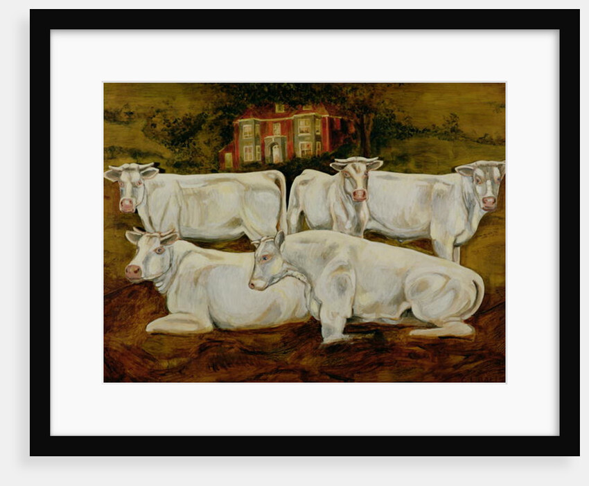 Charolais Bulls, Dippenhall, Farnham by Gareth Lloyd Ball