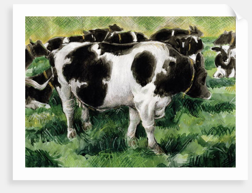 Friesian Cows by Gareth Lloyd Ball