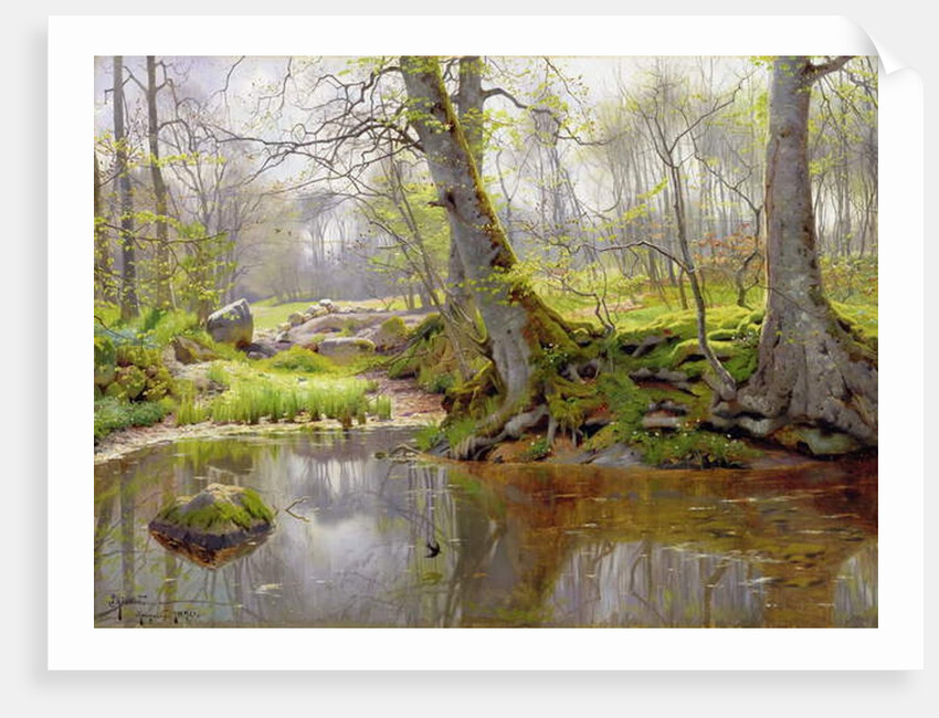 Woodland Pond, 1890 by Peder Monsted