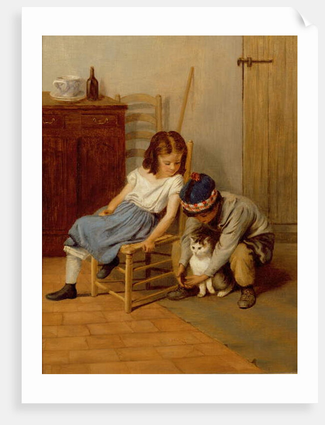 Playing with Kitty by John Morgan