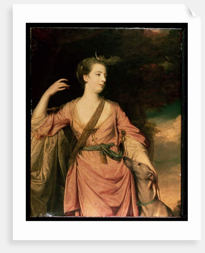 Lady Dawson c.1763 by Joshua Reynolds