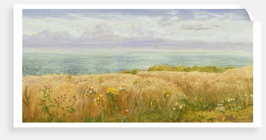 Summer on the Cliffs, 1891 by John Brett