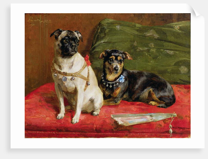 Pierette and Mifs, 1892 by Charles van den Eycken