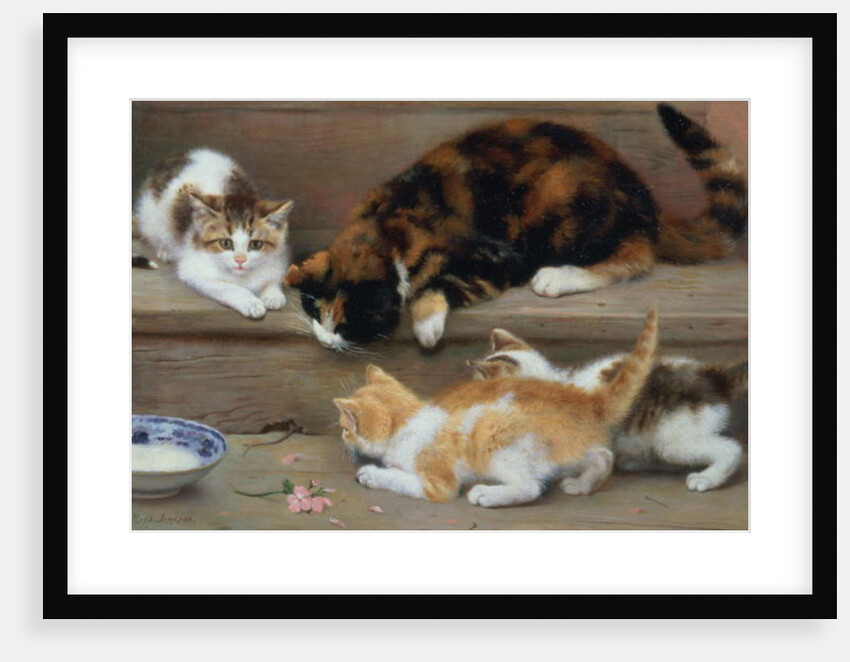 Cat and kittens chasing a mouse by Rosa Jameson