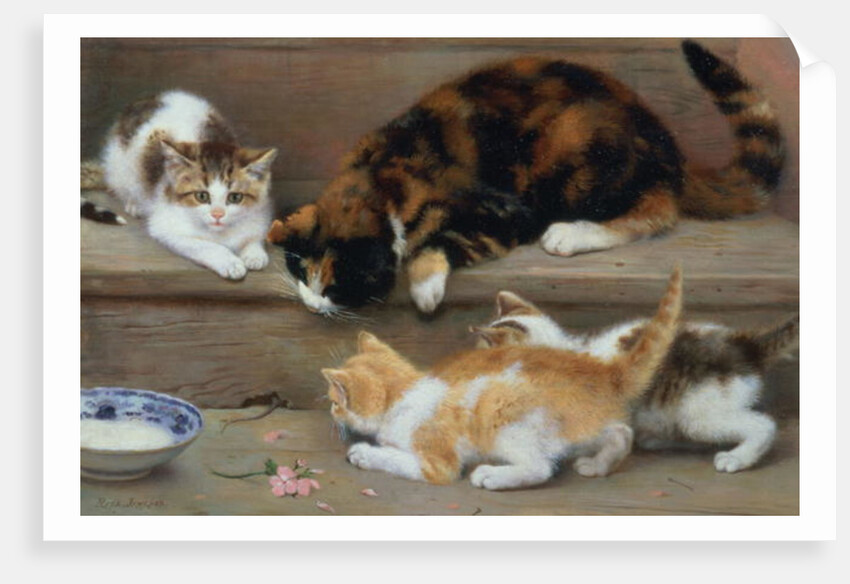 Cat and kittens chasing a mouse by Rosa Jameson