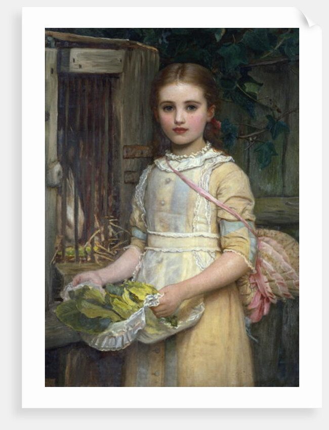 Feeding the Rabbit by Kate Perugini