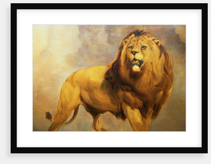 Lion by William Huggins