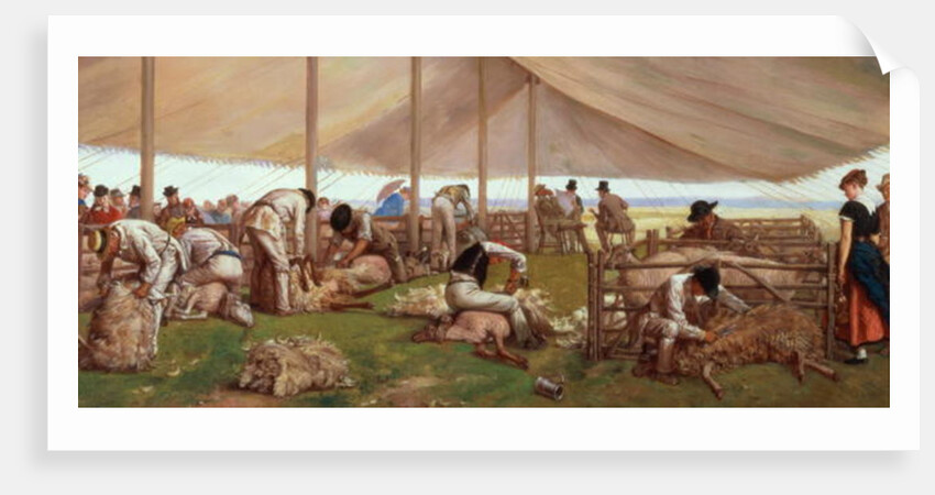 The Sheep Shearing Match, 1875 by Eyre Crowe