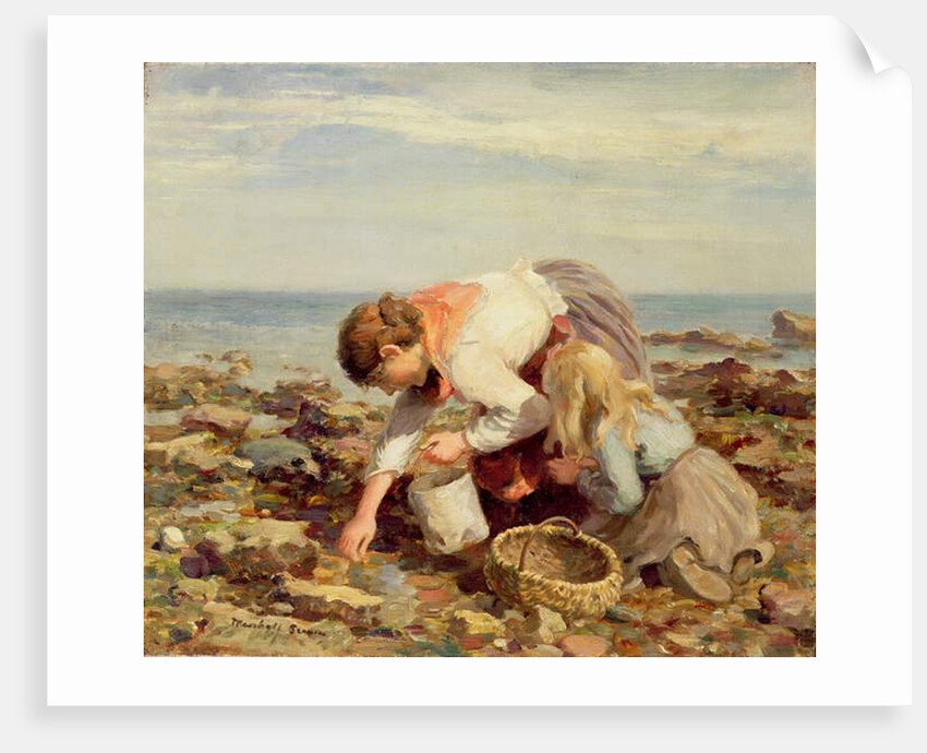 Collecting Shells by William Marshall Brown