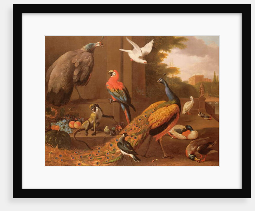 Birds in a landscape by Melchior de Hondecoeter