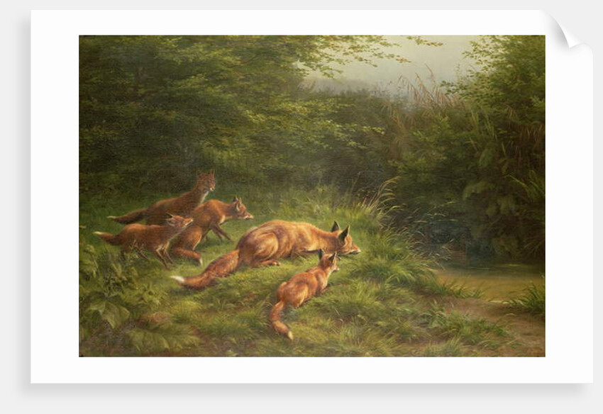 Foxes waiting for the prey by Carl Friedrich Deiker