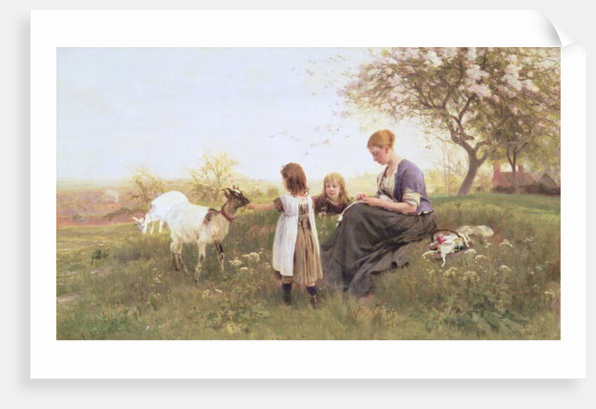 Feeding the Goats, 1870 by Otto Weber
