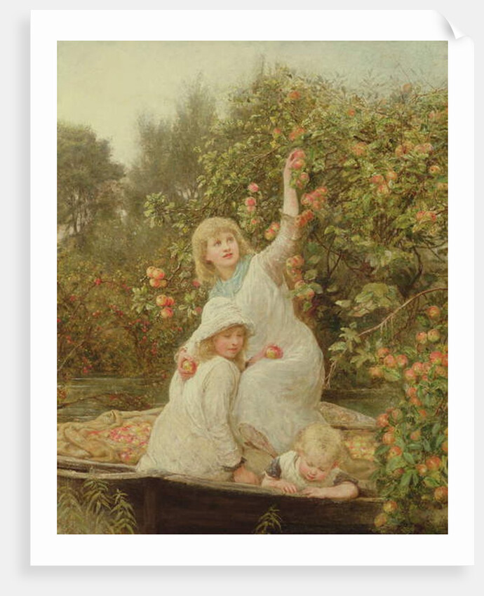 Picking Apples by Frederick Morgan