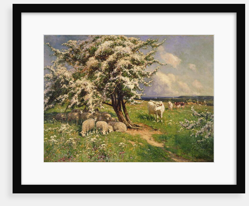 Sheep and cattle in a landscape by Arthur Walker Redgate