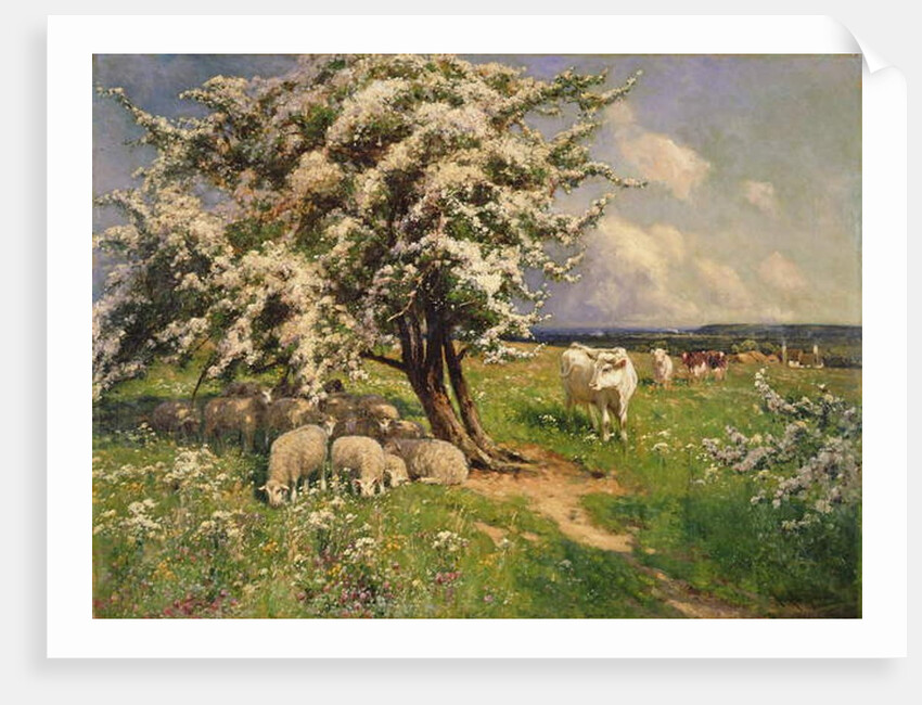 Sheep and cattle in a landscape by Arthur Walker Redgate