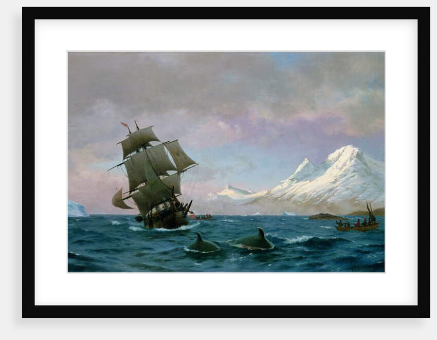 Catching whales, 1875 by J.E. Carl Rasmussen