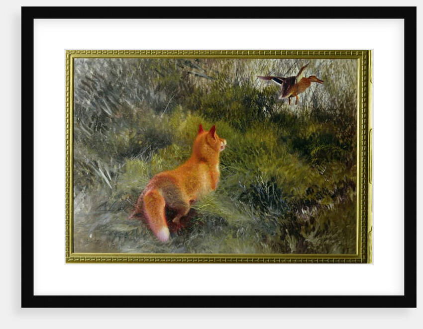 Eluding the Fox, 1912 by Bruno Andreas Liljefors