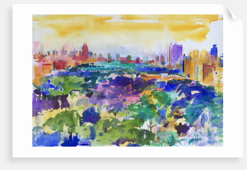 Central Park, New York, 2011 by Peter Graham