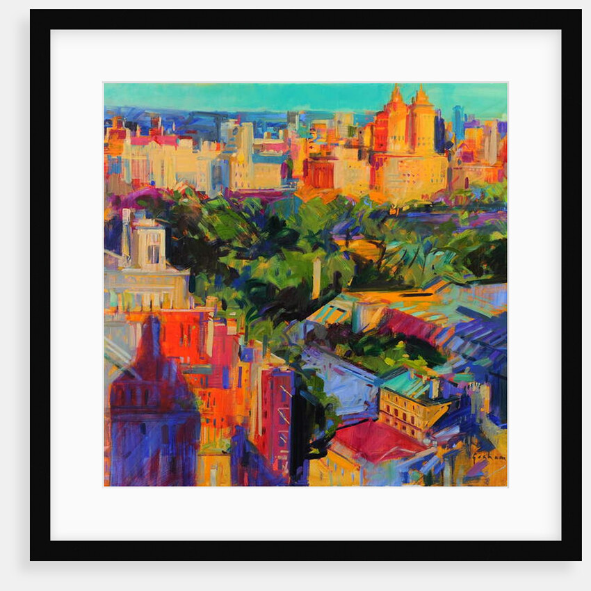 Above Central Park 2019 by Peter Graham