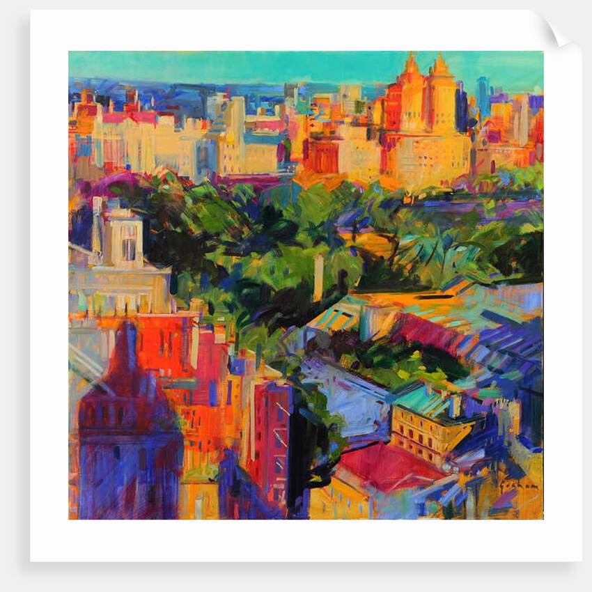 Above Central Park 2019 by Peter Graham