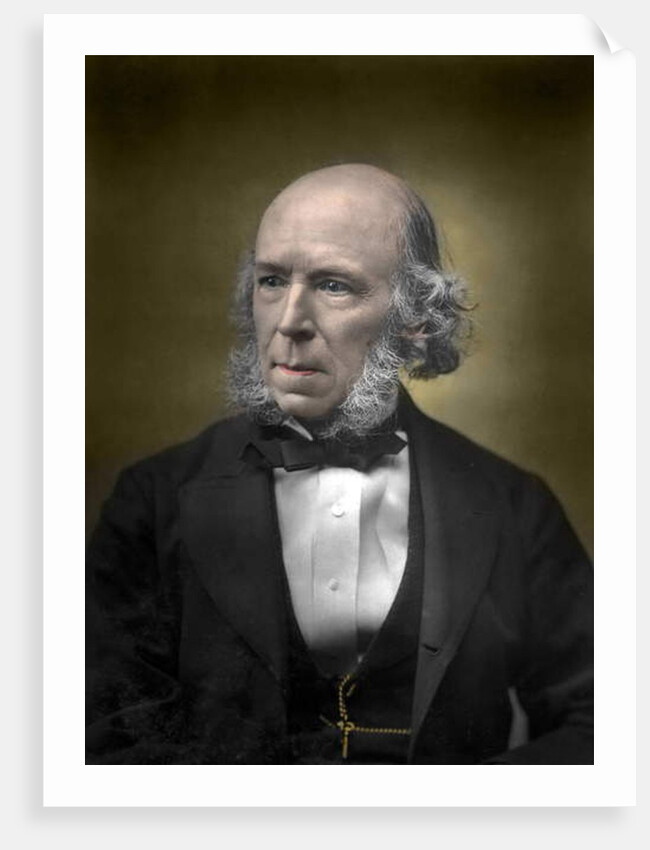 Portrait of Herbert Spencer by English School