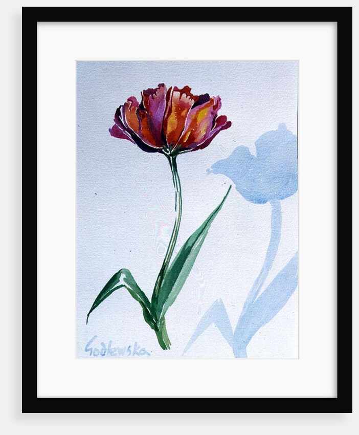 Tulip, 1998 by Izabella Godlewska de Aranda