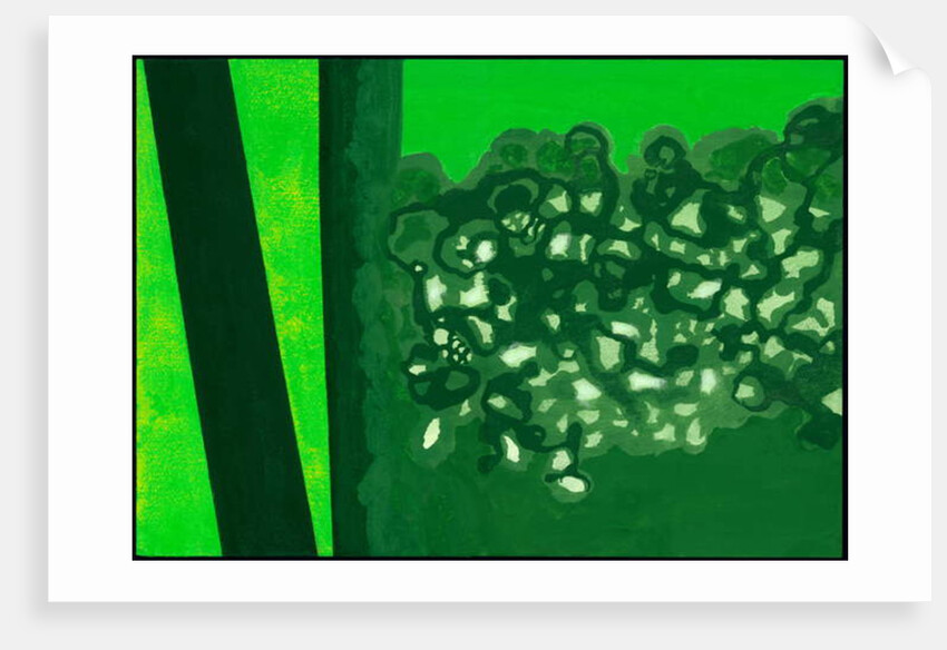 Kensington Gardens Serise: Canopy Shadows, 2007 by Izabella Godlewska de Aranda