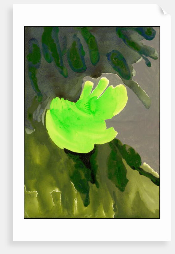 Kensington Gardens Series: Leaf Cascade, 2007 by Izabella Godlewska de Aranda