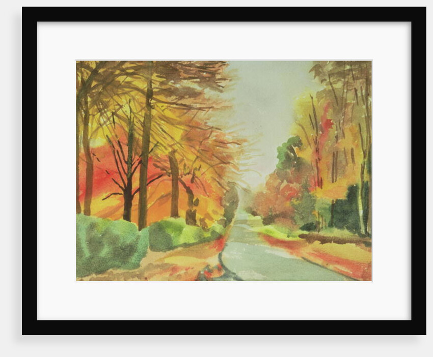 No.47 Autumn, Beaufays Road, Liege, Belgium by Izabella Godlewska de Aranda