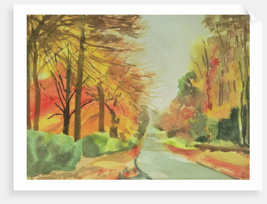 No.47 Autumn, Beaufays Road, Liege, Belgium by Izabella Godlewska de Aranda