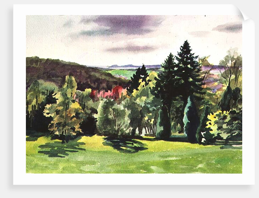 No.61 Summer, Beaufays, Liege, Belgium by Izabella Godlewska de Aranda