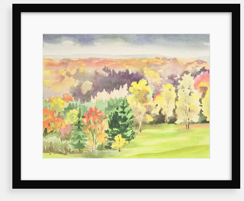 No.64 Autumn, Beaufays, Liege, Belgium by Izabella Godlewska de Aranda