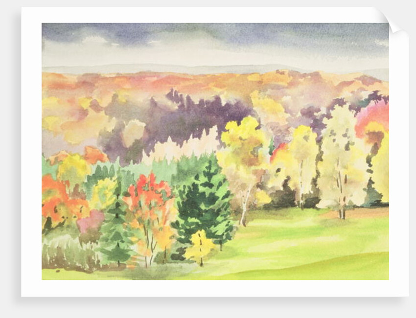 No.64 Autumn, Beaufays, Liege, Belgium by Izabella Godlewska de Aranda