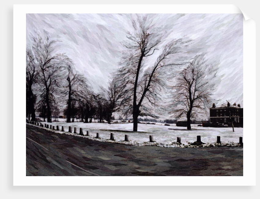 Westgrove, Looking Towards Blackheath, 1999 by Ellen Golla