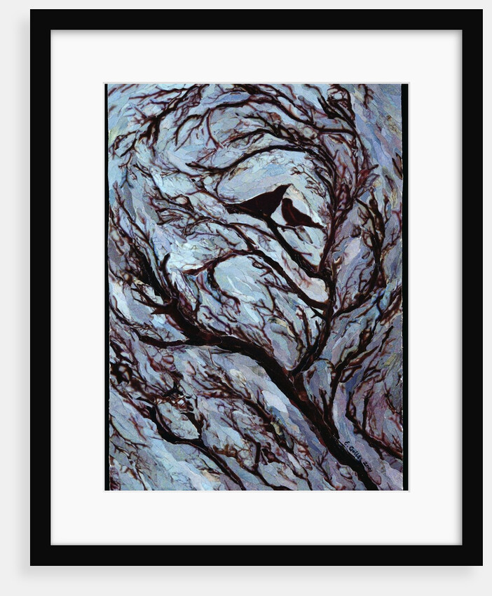 Stormy Day, Greenwich Park, 2001 by Ellen Golla