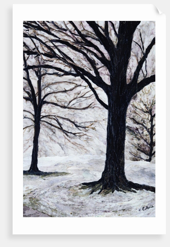 Winter Trees, Greenwich Park, 2004 by Ellen Golla
