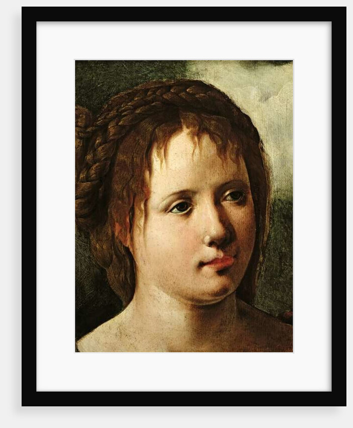 Head of a Girl, 1530/35 by Jan van Scorel