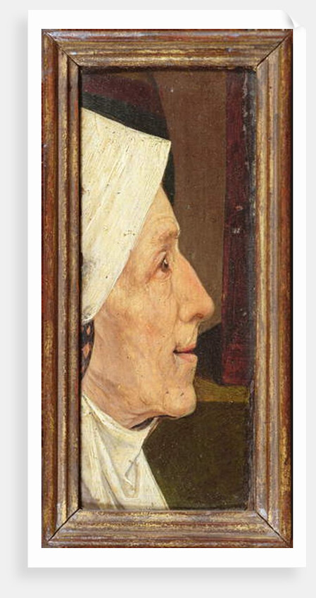 Head of an Old Woman by Hieronymus Bosch