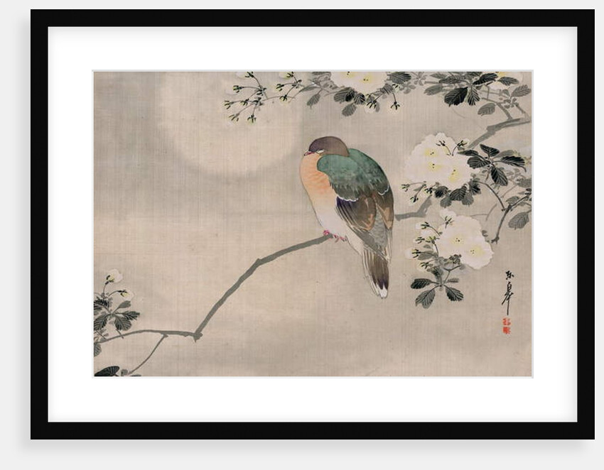 Japanese Silk Painting of a Wood Pigeon, 1800-1899 by Japanese School
